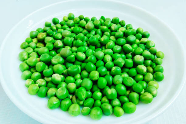 Green Peas legume raw pea fresh matar vegetable food Pisum sativum seed-pod P. sativum edible Erwt-petit Pois Erbse Pisello in a white plate closeup view image stock photo